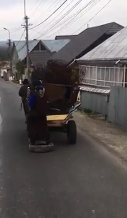 Lideri politici frână la căruță